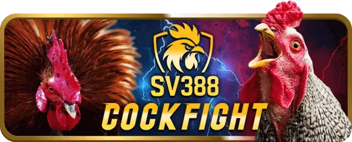 Dịch vụ hỗ trợ khách hàng 24/7 của game789 khuyến mãi